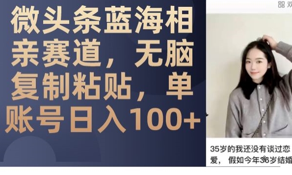 微头条蓝海相亲赛道，无脑复制粘贴，单账号日入100+-遨游资源库