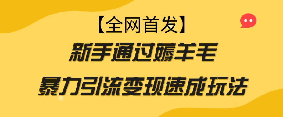 【全网首发】新手通过薅羊毛暴力引流变现速成玩法-遨游资源库