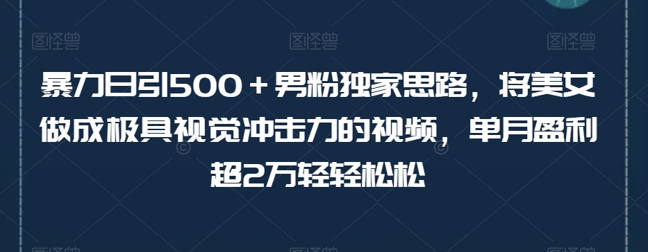 暴力日引500＋男粉独家思路，将美女做成极具视觉冲击力的视频，单月盈利超2万轻轻松松-遨游资源库