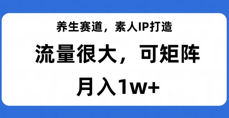 养生赛道，素人IP打造，流量很大，可矩阵，月入1w+【揭秘】-遨游资源库