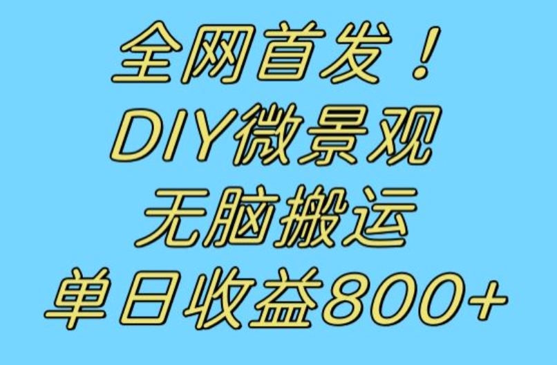 全网首发冷门赛道!DIY微景观,无脑搬运视频,日收益800+【揭秘】-遨游资源库