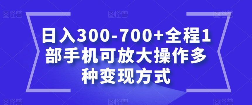 日入300-700+全程1部手机可放大操作多种变现方式【揭秘】-遨游资源库