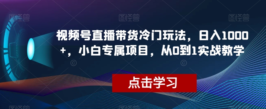 视频号直播带货冷门玩法，日入1000+，小白专属项目，从0到1实战教学【揭秘】-遨游资源库