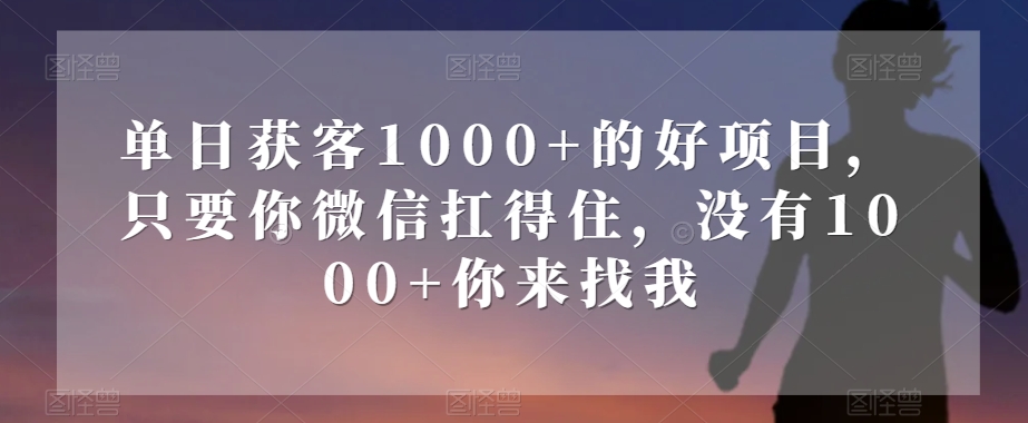 单日获客1000+的好项目，只要你微信扛得住，没有1000+你来找我【揭秘】-遨游资源库