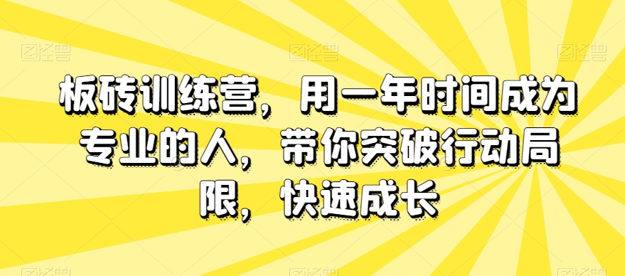 板砖训练营，用一年时间成为专业的人，带你突破行动局限，快速成长-遨游资源库