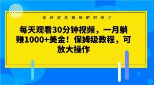 每天观看30分钟视频，一月躺赚1000+美金！保姆级教程，可放大操作【揭秘】-遨游资源库