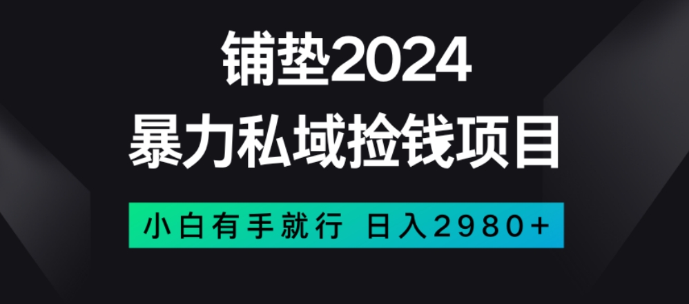 暴力私域捡钱项目，小白无脑操作，日入2980【揭秘】-遨游资源库