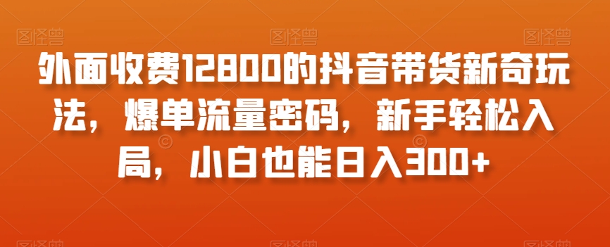 外面收费12800的抖音带货新奇玩法，爆单流量密码，新手轻松入局，小白也能日入300+【揭秘】-遨游资源库
