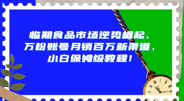 临期食品市场逆势崛起，万粉账号月销百万新渠道，小白保姆级教程【揭秘】-遨游资源库