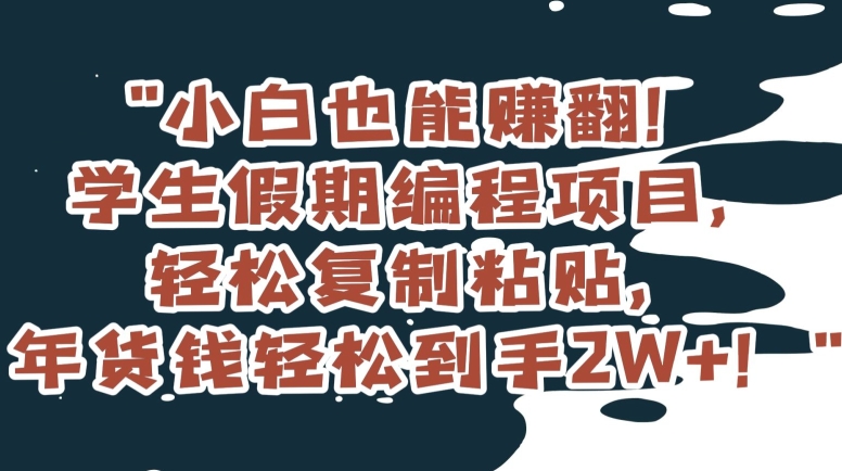 小白也能赚翻！学生假期编程项目，轻松复制粘贴，年货钱轻松到手2W+【揭秘】-遨游资源库
