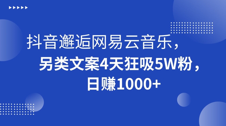 抖音邂逅网易云音乐，另类文案4天狂吸5W粉，日赚1000+【揭秘】-遨游资源库