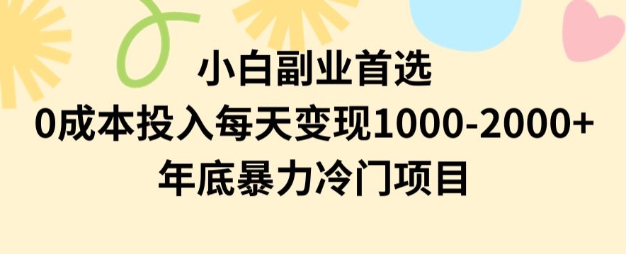 小白副业首选，0成本投入，每天变现1000-2000年底暴力冷门项目【揭秘】-遨游资源库