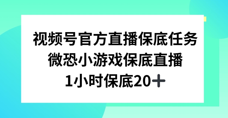 视频号直播任务，微恐小游戏，1小时20+【揭秘】-遨游资源库