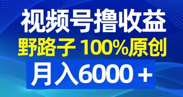 视频号野路子撸收益，100%原创，条条爆款，月入6000＋【揭秘】-遨游资源库