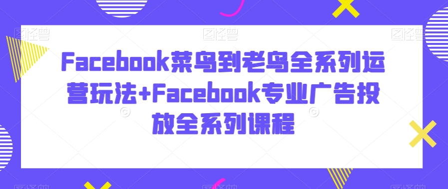 Facebook菜鸟到老鸟全系列运营玩法+Facebook专业广告投放全系列课程-遨游资源库