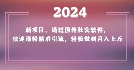 2024新项目，通过国外社交软件，快速涨粉精准引流，轻松做到月入上万【揭秘】-遨游资源库