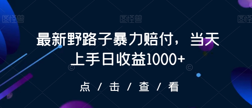 最新野路子暴力赔付，当天上手日收益1000+【仅揭秘】-遨游资源库