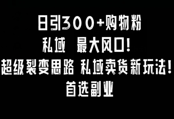 日引300+购物粉，超级裂变思路，私域卖货新玩法，小红书首选副业【揭秘】-遨游资源库