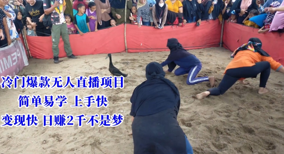 冷门爆款无人直播项目，简单易学上手快，变现快日赚2千不是梦【揭秘】-遨游资源库