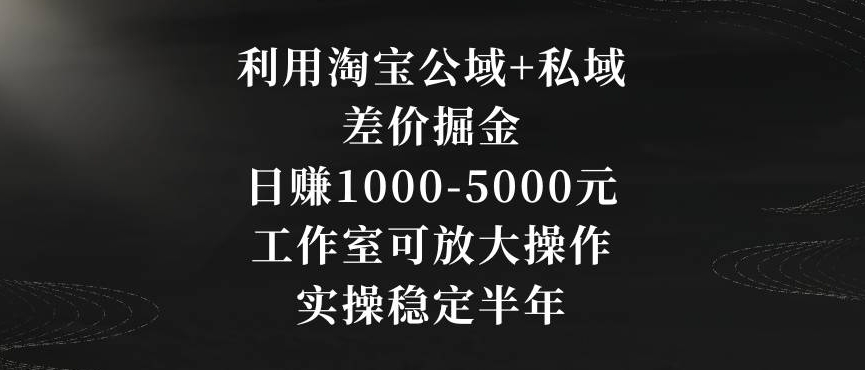 利用淘宝公域+私域差价掘金，日赚1000-5000元，工作室可放大操作，实操稳定半年【揭秘】-遨游资源库