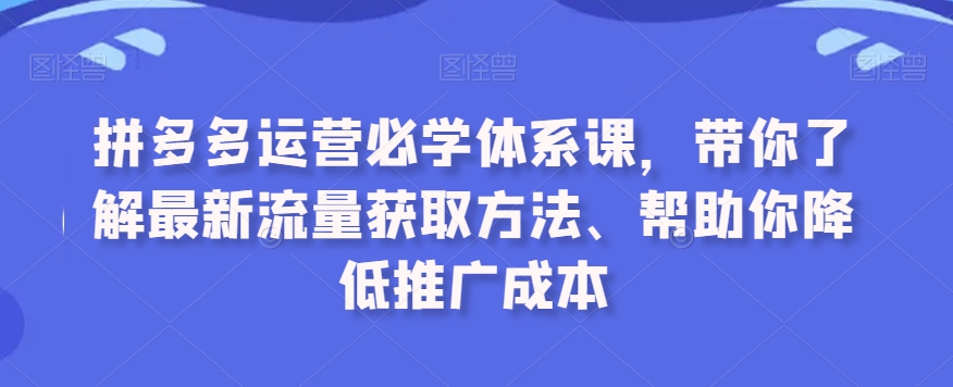 拼多多运营必学体系课，带你了解最新流量获取方法、帮助你降低推广成本-遨游资源库