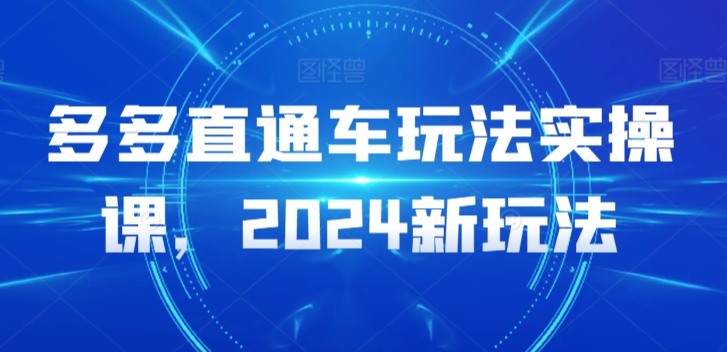 多多直通车玩法实操课，2024新玩法-遨游资源库