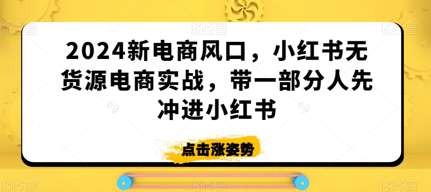 2024新电商风口，小红书无货源电商实战，带一部分人先冲进小红书-遨游资源库