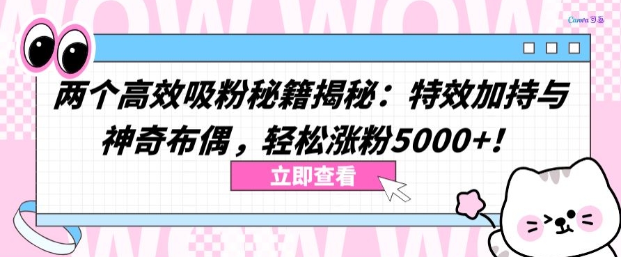 两个高效吸粉秘籍揭秘：特效加持与神奇布偶，轻松涨粉5000+【揭秘】-遨游资源库