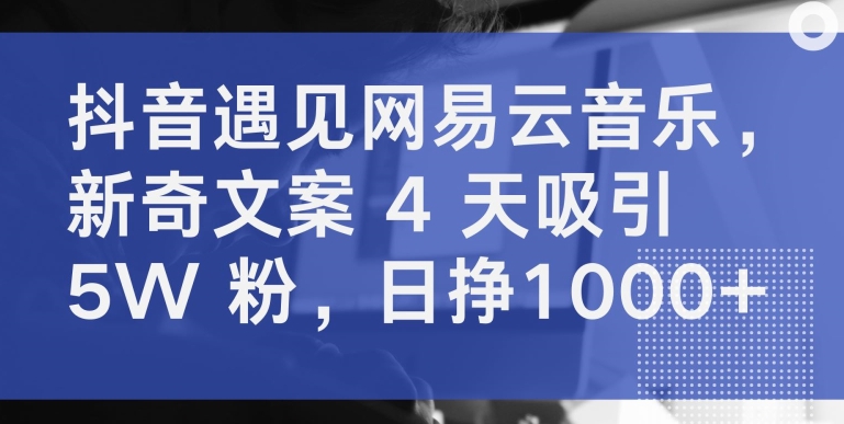 抖音遇见网易云音乐，新奇文案 4 天吸引 5W 粉，日挣1000+【揭秘】-遨游资源库