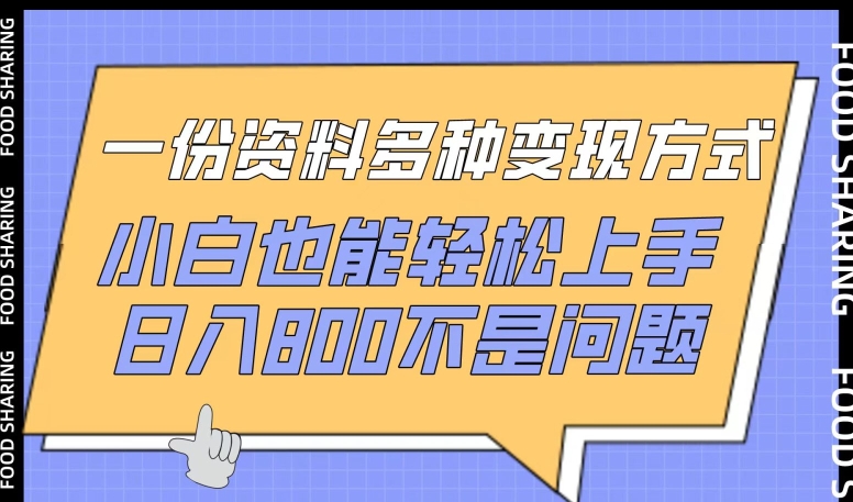 一份资料多种变现方式，小白也能轻松上手，日入800不是问题【揭秘】-遨游资源库