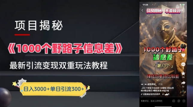 一千个野路子信息差最新玩法教程-变现+引流的玩法具体拆解【揭秘】-遨游资源库