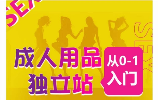 成人用品独立站从0-1入门，成品独立站运营全流程教学，七大好卖成品独立站推荐-遨游资源库