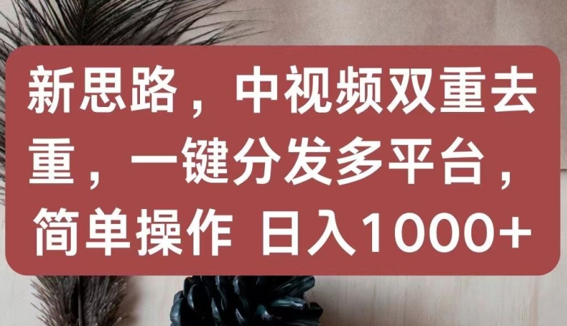 新思路，中视频双重去重，一键分发多平台，简单操作，日入1000+【揭秘】-遨游资源库