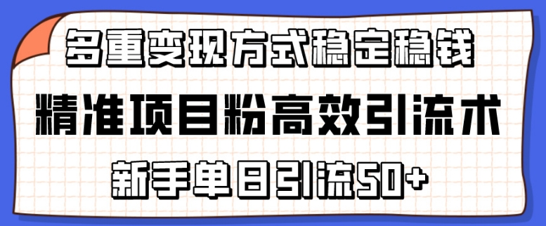 精准项目粉高效引流术，新手单日引流50+，多重变现方式稳定赚钱【揭秘】-遨游资源库