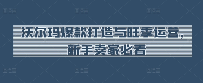 沃尔玛爆款打造与旺季运营，新手卖家必看-遨游资源库