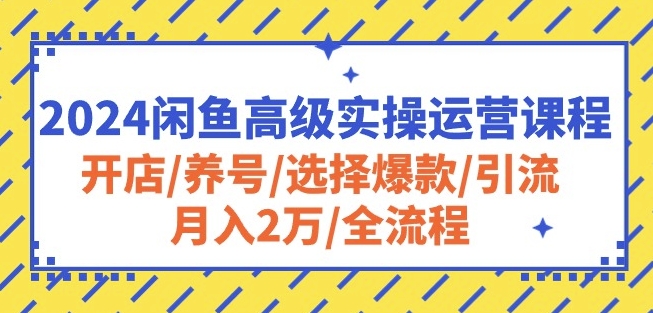 2024闲鱼高级实操运营课程：开店/养号/选择爆款/引流/月入2万/全流程-遨游资源库