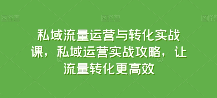 私域流量运营与转化实战课，私域运营实战攻略，让流量转化更高效-遨游资源库