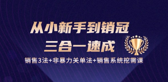 从小新手到销冠 三合一速成：销售3法+非暴力关单法+销售系统挖需课 (27节)-遨游资源库
