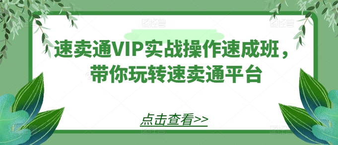速卖通VIP实战操作速成班，带你玩转速卖通平台-遨游资源库
