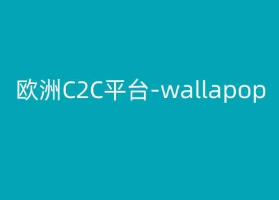 欧洲C2C平台-wallapop-kim跨境电商教程-遨游资源库