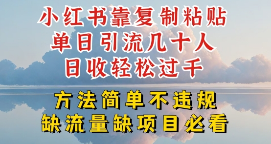 小红书靠复制粘贴单日引流几十人目收轻松过千，方法简单不违规【揭秘】-遨游资源库