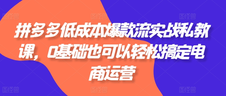 拼多多低成本爆款流实战私教课,0基础也可以轻松搞定电商运营-遨游资源库