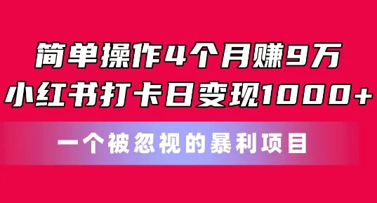简单操作4个月赚9w，小红书打卡日变现1k，一个被忽视的暴力项目【揭秘】-遨游资源库
