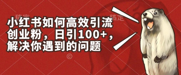 小红书如何高效引流创业粉，日引100+，解决你遇到的问题【揭秘】-遨游资源库