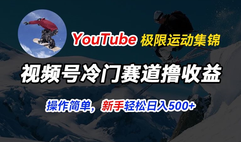 视频号冷门赛道撸收益,YouTube搬运极限运动集锦,暴力起号,操作简单流量高,轻松日入5张【揭秘】-遨游资源库
