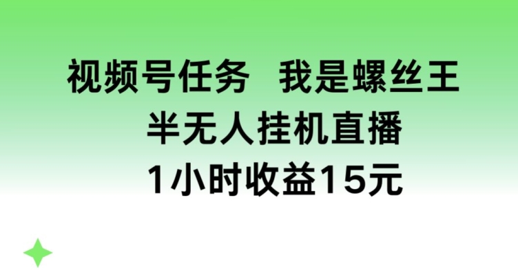 视频号任务，我是螺丝王， 半无人挂机1小时收益15元【揭秘】-遨游资源库