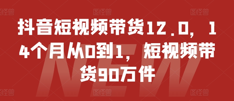 抖音短视频带货12.0，14个月从0到1，短视频带货90万件-遨游资源库