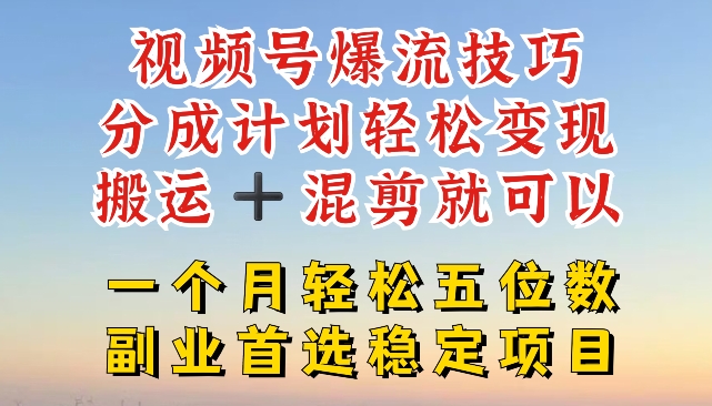 视频号爆流技巧，分成计划轻松变现，搬运 +混剪就可以，一个月轻松五位数稳定项目【揭秘】-遨游资源库