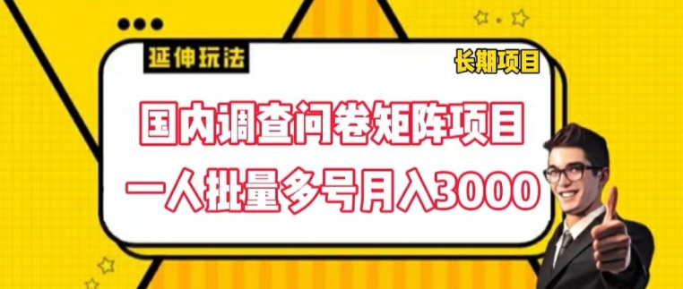 国内调查问卷矩阵项目，一人批量多号月入3000【揭秘】-遨游资源库
