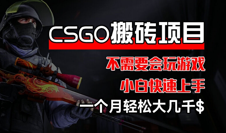 CSGO 装备搬砖项目,操作简单,不需要会玩游戏,小白也能快速上手,一个月轻松大几千【揭秘】-遨游资源库